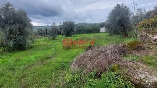 Terreno de 800 m² em Viseu