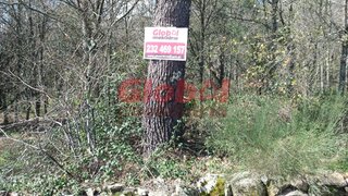 Land for sale in Viseu, Portugal — €49,500