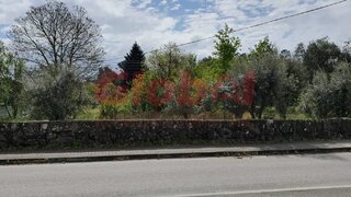 Land for sale in Tondela, Portugal — €35,000