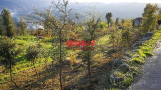 Terreno · 9800 m² · 70 000 €