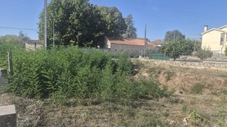 Land for sale in Nelas, Portugal — €60,000