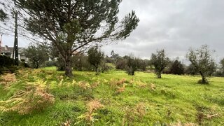 Terreno de 2559 m² em Viseu