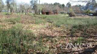 Terreno em Viseu · 2200 m² · 75 000 €