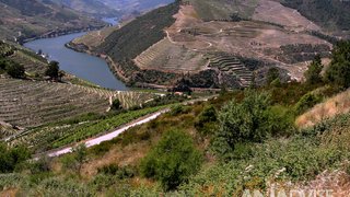 Land for sale in Tabuaço, Portugal — €850,000