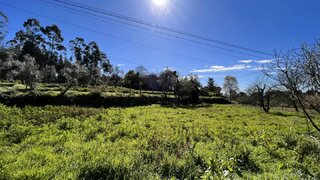 Terreno de 750 m² em Viseu