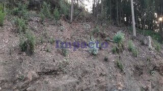 Land for sale in Oliveira de Azeméis, Portugal — €25,000