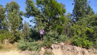 Land for sale in Oliveira de Azeméis, Portugal — €65,000