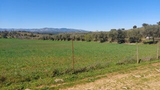 Terreno em Mogadouro