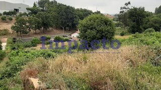 Land for sale in Oliveira de Azeméis, Portugal — €85,000