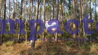 Land for sale in Santa Maria da Feira, Portugal — €550,000