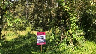 Land for sale in Santa Maria da Feira, Portugal — €26,000