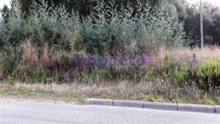 Terreno · 1720 m² · 265 000 €