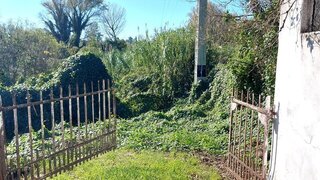 Terreno de 10 695 m² em Coimbra
