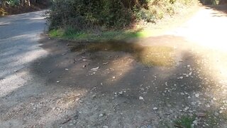 Land for sale in Oliveira de Azeméis, Portugal — €110,000