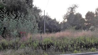 Land for sale in Oliveira de Azeméis, Portugal — €315,000