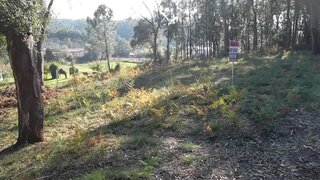 Land for sale in Oliveira de Azeméis, Portugal — €60,000
