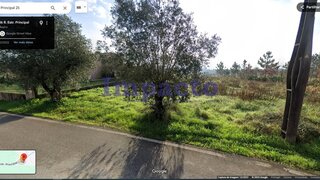 Land for sale in Anadia, Portugal — €55,000