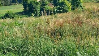 Land for sale in Arouca, Portugal — €88,000