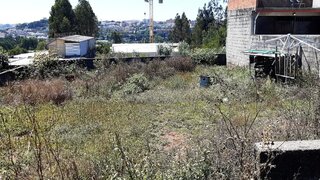 Land for sale in Oliveira de Azeméis, Portugal — €42,000
