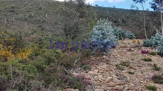 Land for sale in Santa Maria da Feira, Portugal — €14,000