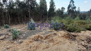 Terreno em Oliveira de Azeméis