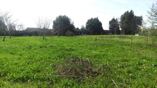 Land for sale in São João da Madeira, Portugal — €285,000