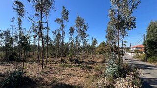 Land for sale in Oliveira de Azeméis, Portugal — €220,000