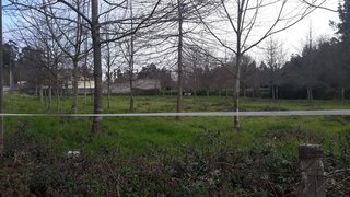 Land for sale in Oliveira de Azeméis, Portugal — €285,000