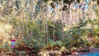 Land for sale in Santa Maria da Feira, Portugal — €47,000