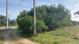 Terreno em Vagos