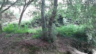 Land for sale in Oliveira de Azeméis, Portugal — €19,800