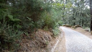 Land for sale in Baião, Portugal — €31,290