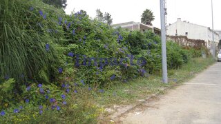 Land for sale in Oliveira de Azeméis, Portugal — €120,000