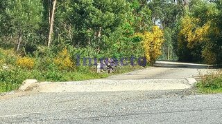 Land for sale in Arouca, Portugal — €48,500