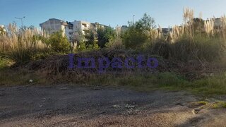 Land for sale in Oliveira de Azeméis, Portugal — €1,200,000
