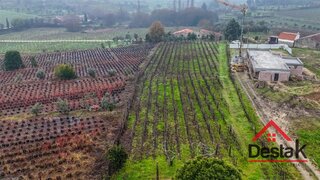 Terreno de 4092 m² em Viseu