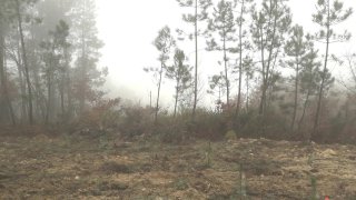 Land for sale in São Pedro do Sul, Portugal — €7,000