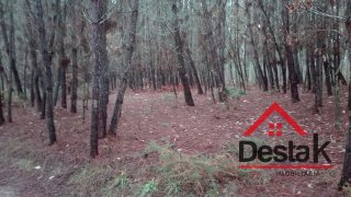 Land for sale in Vouzela, Portugal — €22,500
