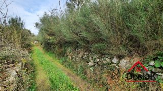 Land for sale in Oliveira de Frades, Portugal — €156,000