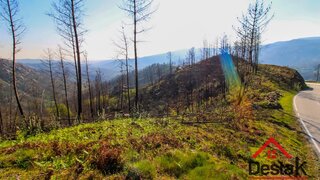 Land for sale in São Pedro do Sul, Portugal — €12,500