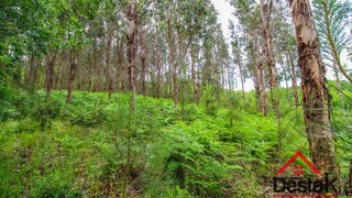 Land for sale in São Pedro do Sul, Portugal — €7,000