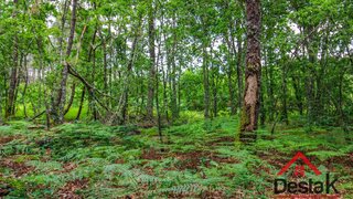 Terreno para venda em São Pedro do Sul, Portugal — 12 000 €