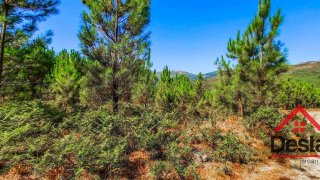 Land for sale in São Pedro do Sul, Portugal — €12,500