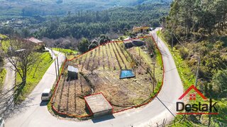 Terreno em Oliveira de Frades
