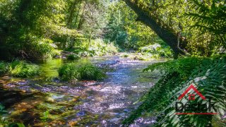 Land for sale in Viseu, Portugal — €35,000