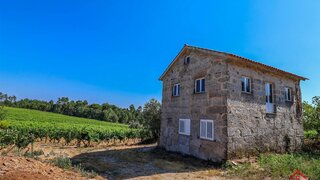 Land for sale in Nelas, Portugal — €690,000