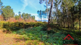 Land for sale in São Pedro do Sul, Portugal — €28,500