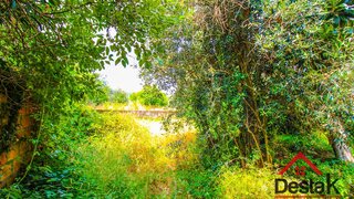 Land for sale in Viseu, Portugal — €45,000