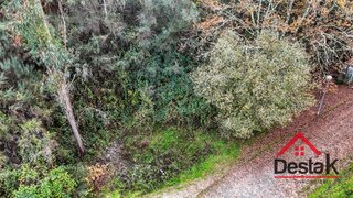 Land for sale in São Pedro do Sul, Portugal — €40,000