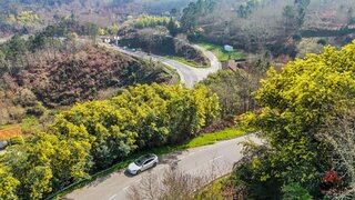 Land for sale in São Pedro do Sul, Portugal — €30,000